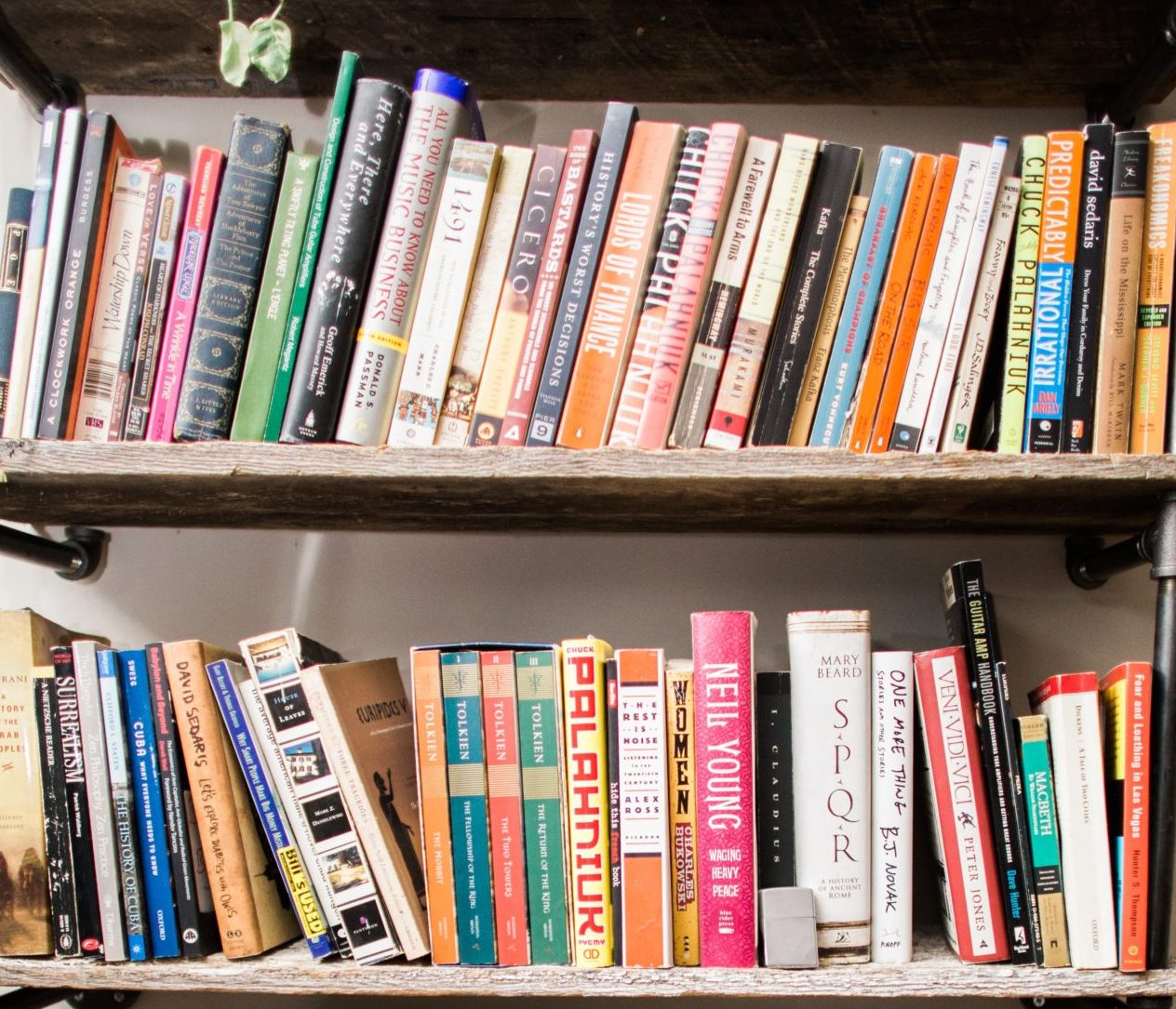 Two rows of books on wood bookshelf