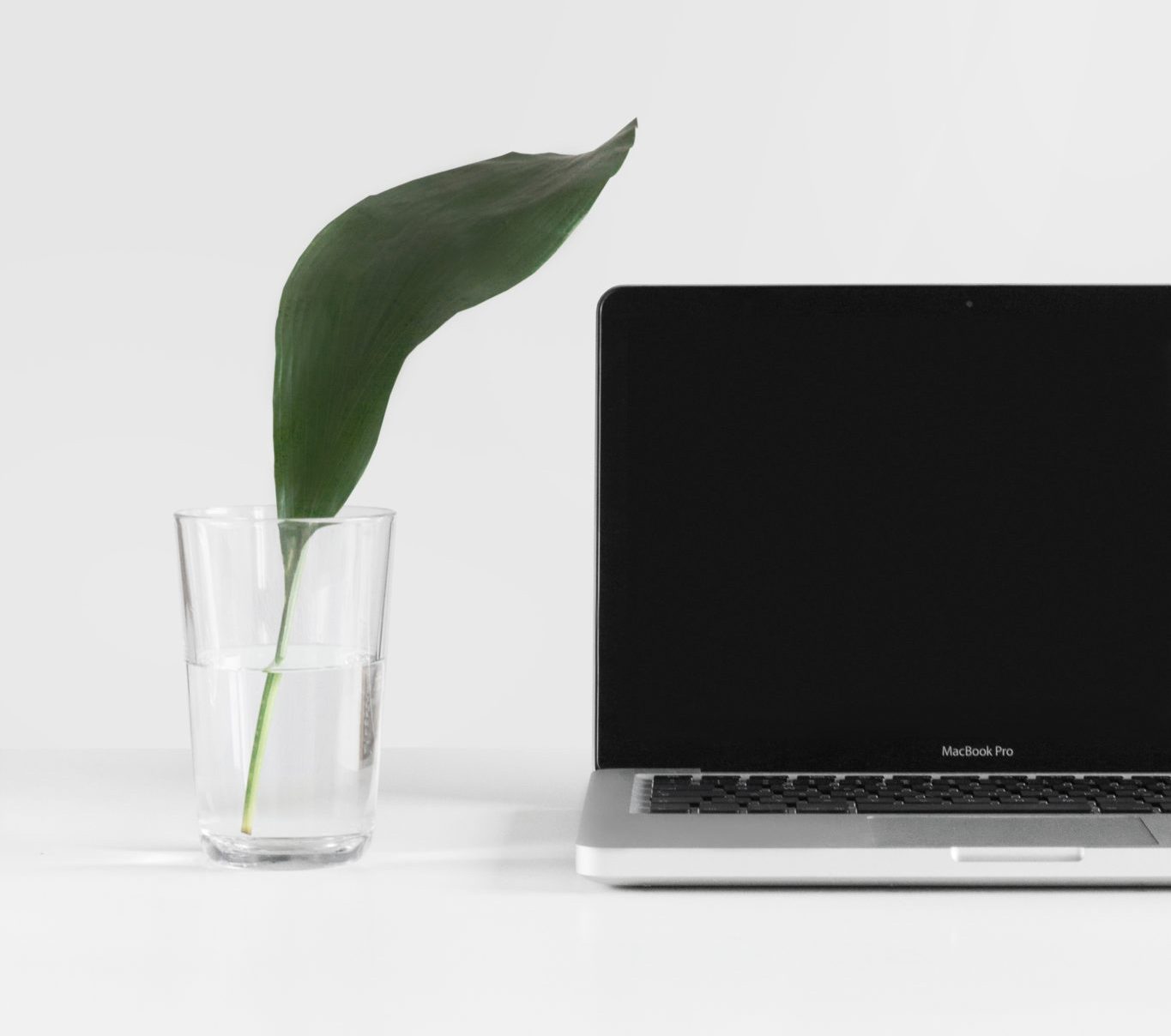 Laptop and vase with leaf on white desk