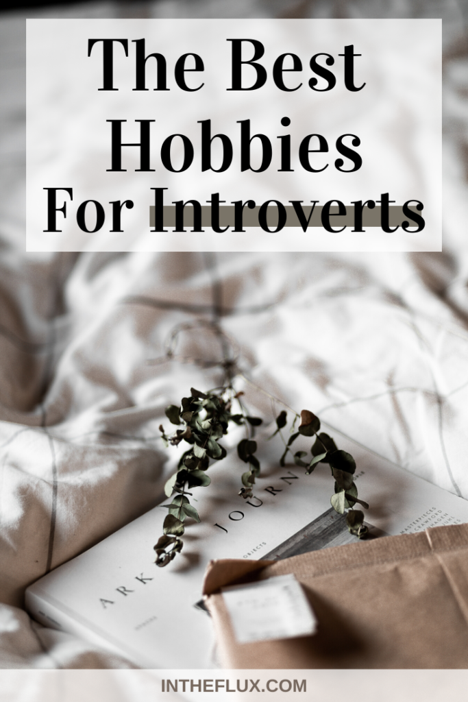 12 Best Hobbies For Introverts Pinterest pin