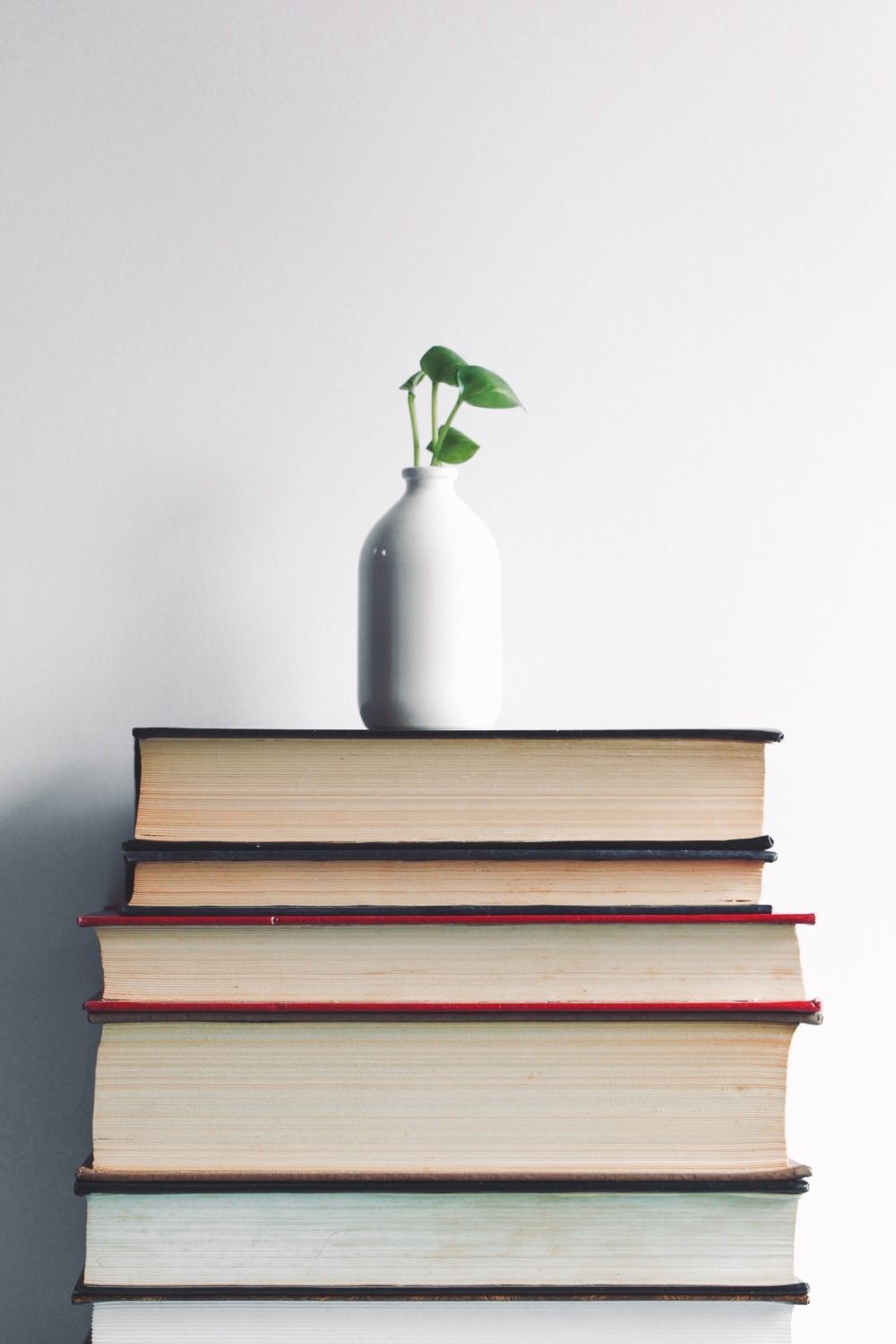 stack of books with white vase with plant on top