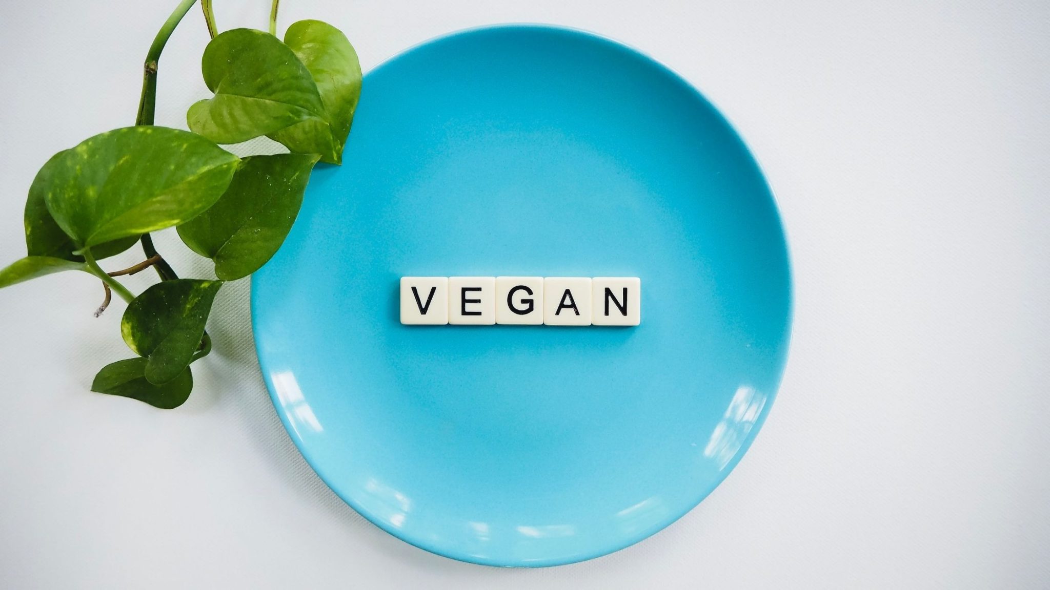 Vegan word scrabble on blue plate